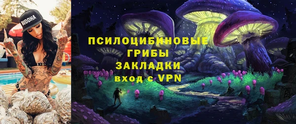 apvp Алексеевка
