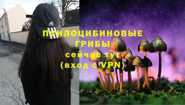 ALPHA-PVP Алексин