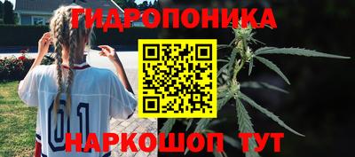 мяу мяу мука Ливны