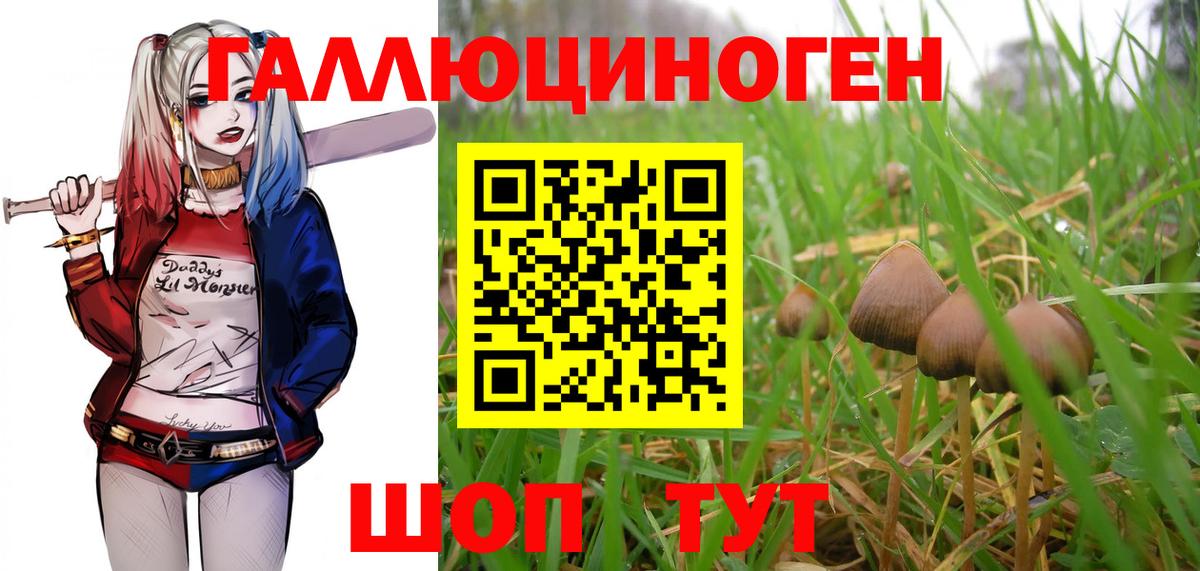 MDMA Дзержинский
