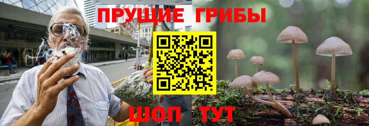 Дзержинский  как найти   Вход с VPN  Псилоцибиновые грибы ЛСД 